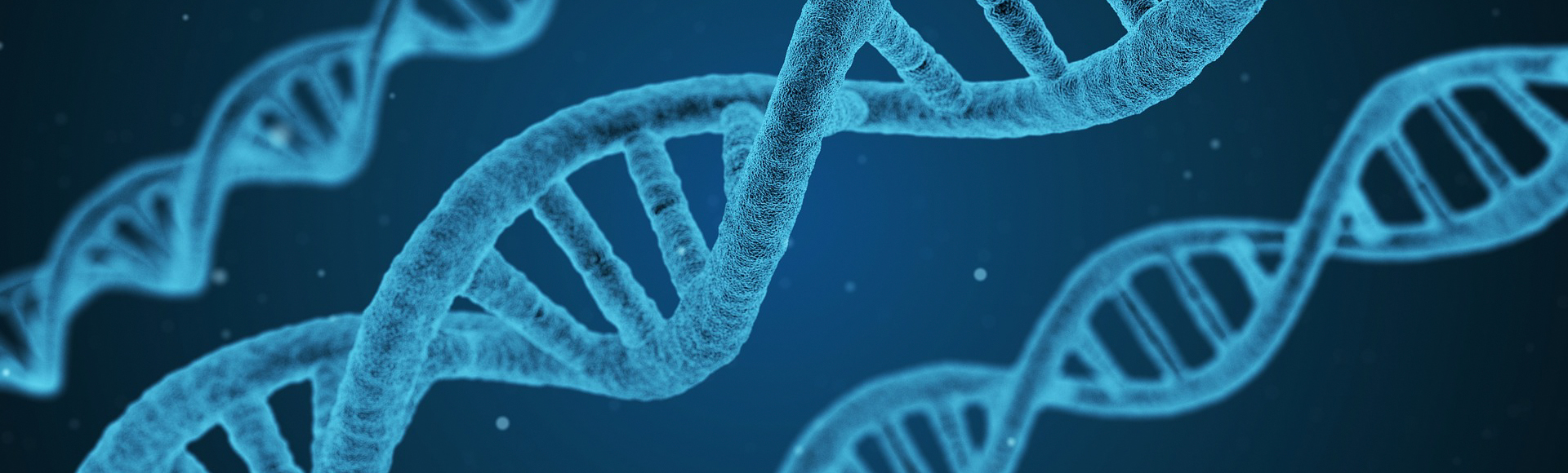 Homeopatia – “NANOMEDICINA VIITORULUI”